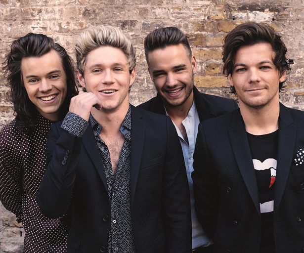 Harry Styles über eine One-Direction-Reunion