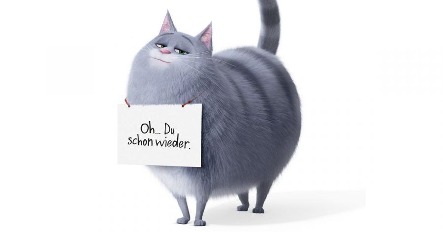 "Pets 2": Hier ist der neue Trailer!