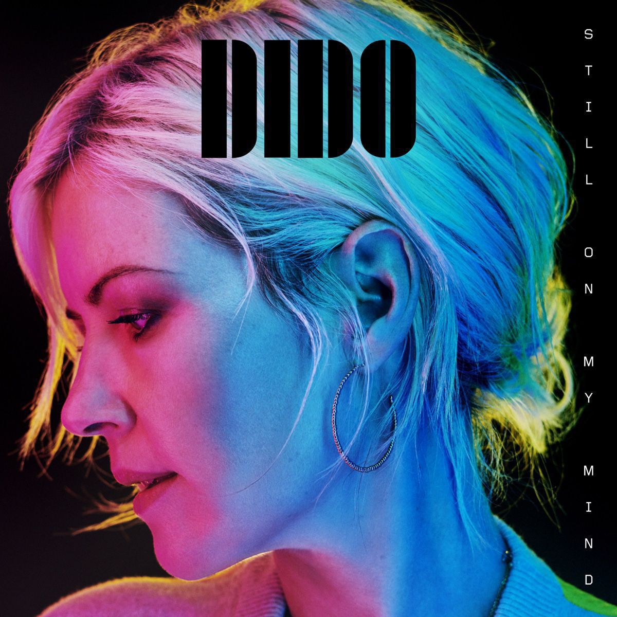 Dido: „Ich wäre gerne Beyoncé“