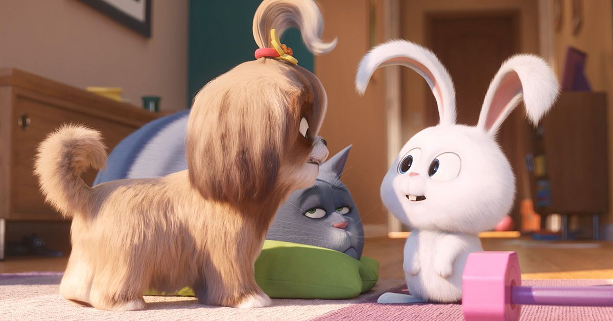 "Pets 2" ist der Sommerhit im Kino: Filmkritik und Verlosung