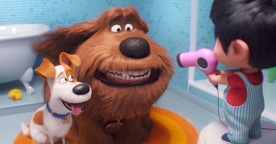 "Pets 2" ist der Sommerhit im Kino: Filmkritik und Verlosung