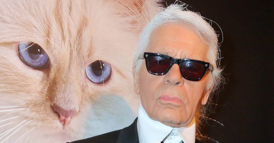 Karl Lagerfeld: Katze Choupette meldet sich zurück