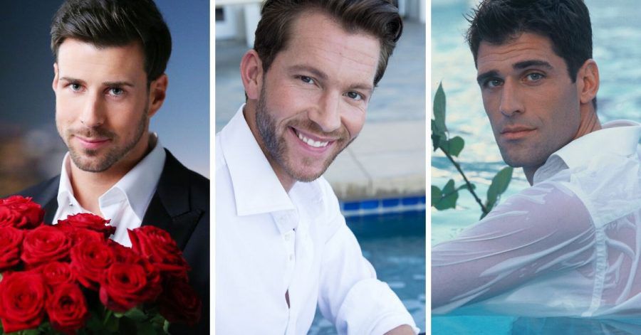 "Der Bachelor" feiert 10. Jubiläum: Das waren alle Junggesellen