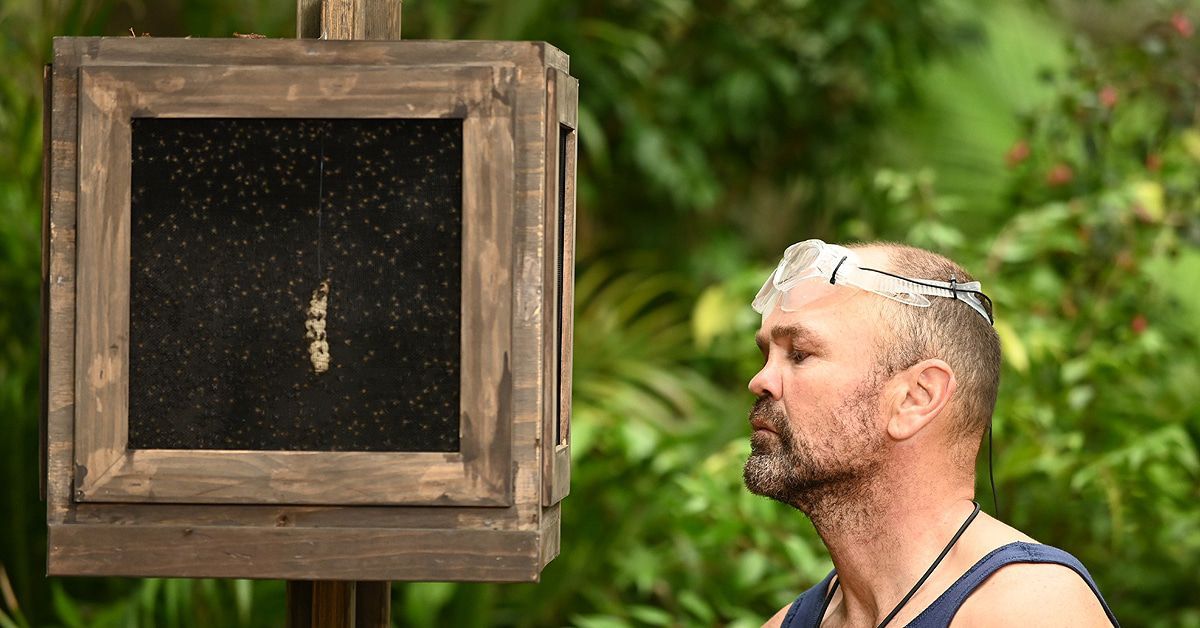 Dschungelcamp 2020: Prince Damien gewinnt die 14. Staffel
