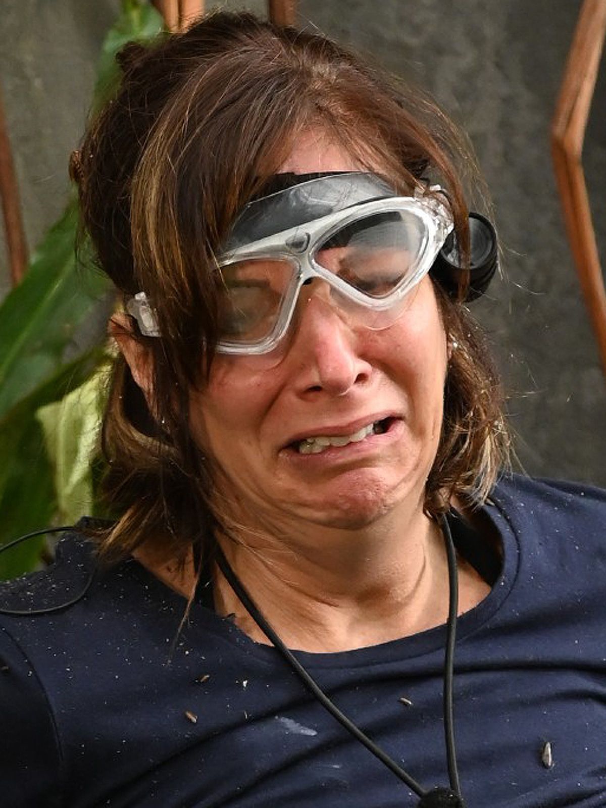 Dschungelcamp Tag 5: Drama-Queen Büchner und wir Idioten vorm Fernseher