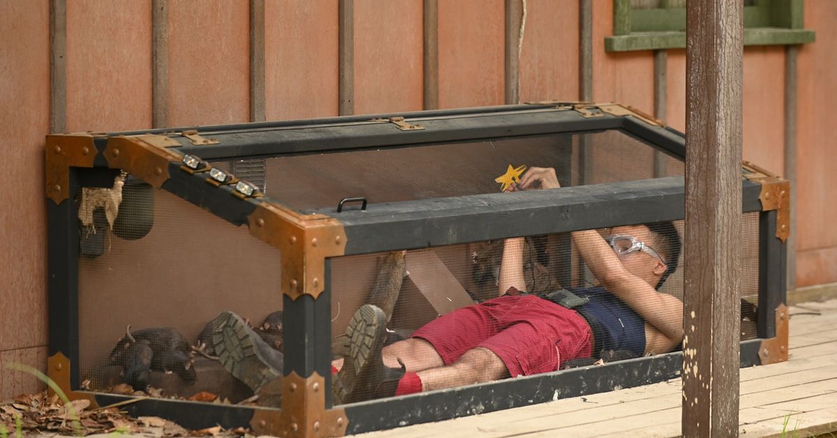 Dschungelcamp Tag 14: Null Sterne für Danni und muss gehen
