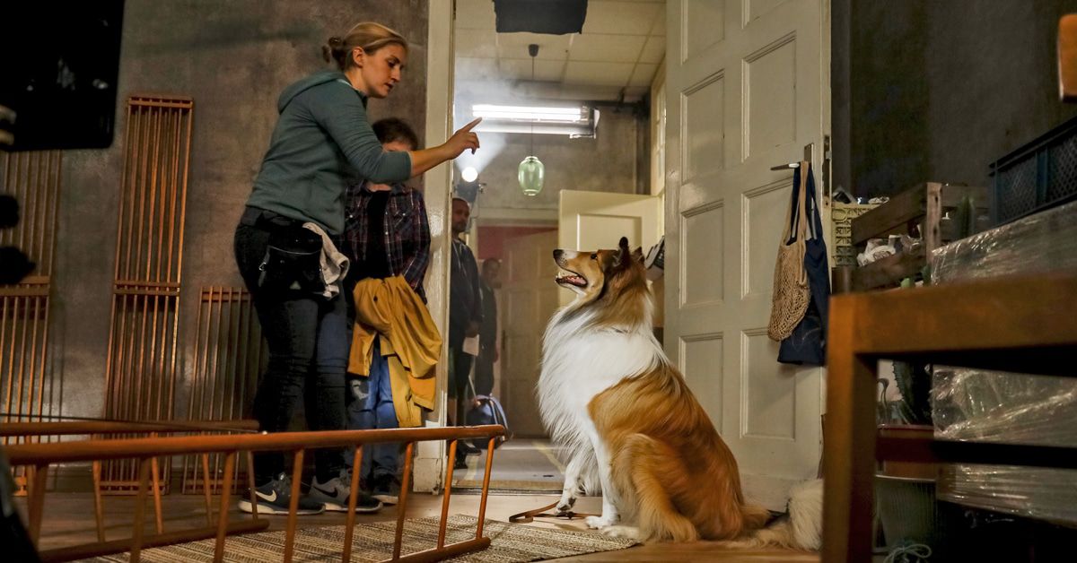 "Lassie" kehrt zurück: Wie das mit dem Hund im Film wirklich funktionierte