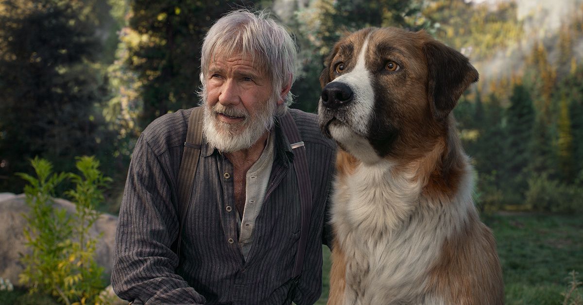 Harrison Ford nennt Donald Trump einen "Hurensohn"