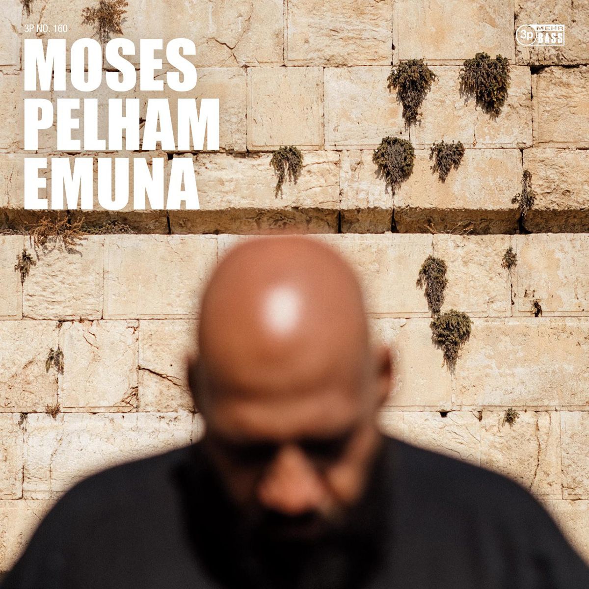 Moses Pelham über Weltschmerz, Musik und das Leben als Veganer