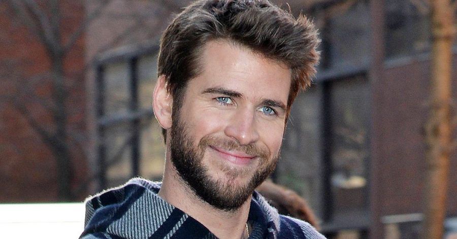 Über Liam Hemsworth wird viel Mist geschrieben?