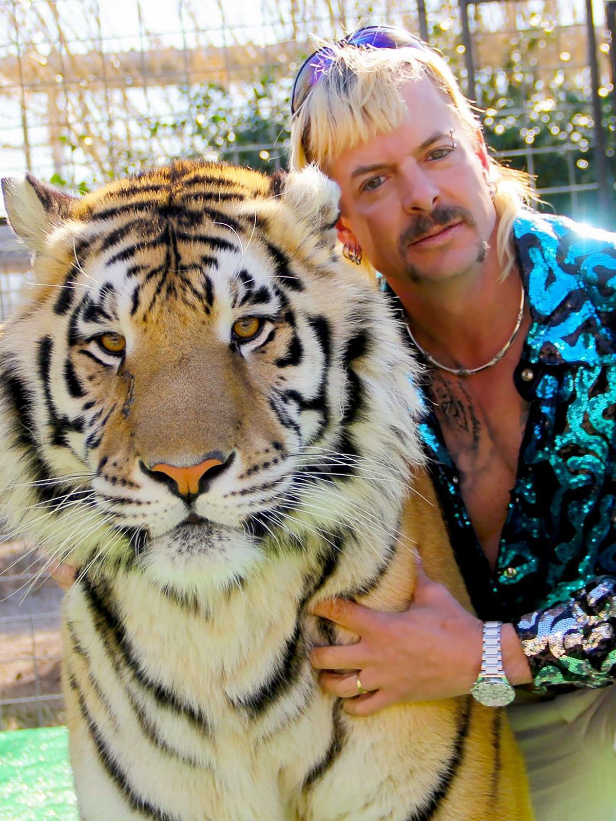 "Tiger King": Deswegen sind wir alle so verrückt danach