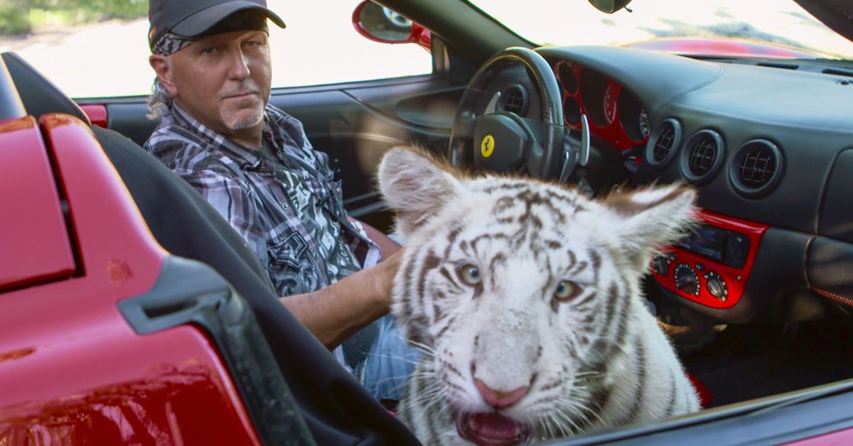 "Tiger King": Deswegen sind wir alle so verrückt danach
