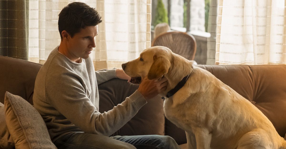 Himmel und Hölle: Alles über die Amazon-Serie "Upload"