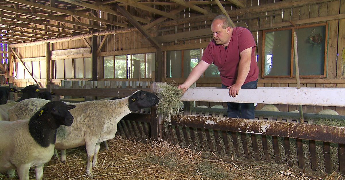 Bauer sucht Frau