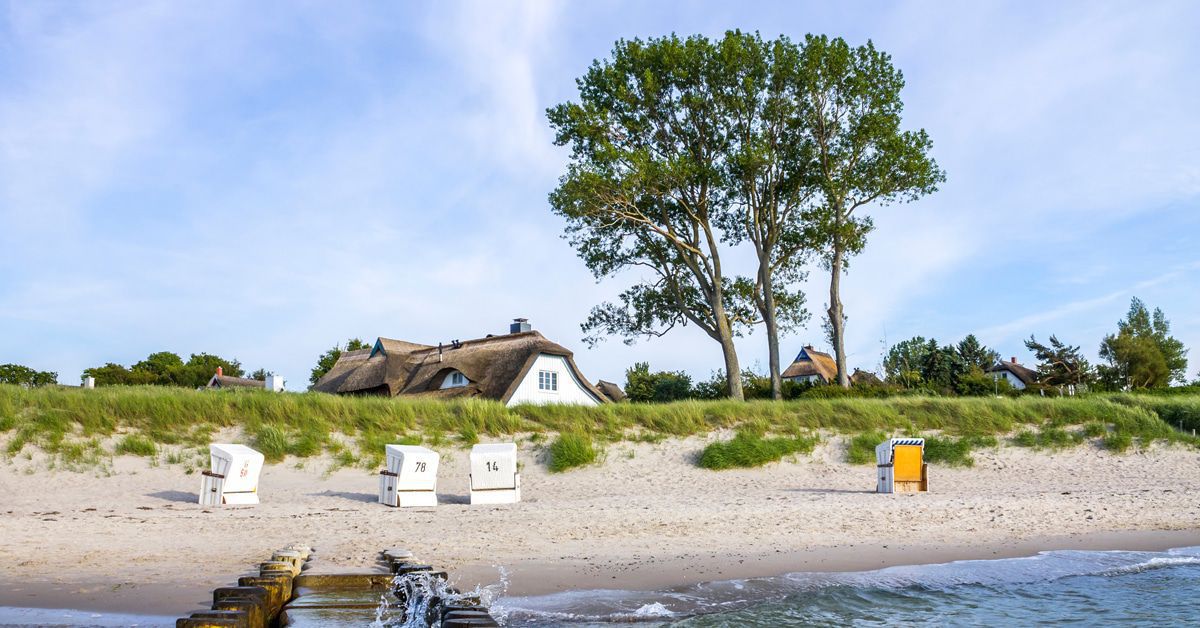 Finanzkrise: Wie geht's weiter mit Bachelor, Dschungelcamp & Co.?