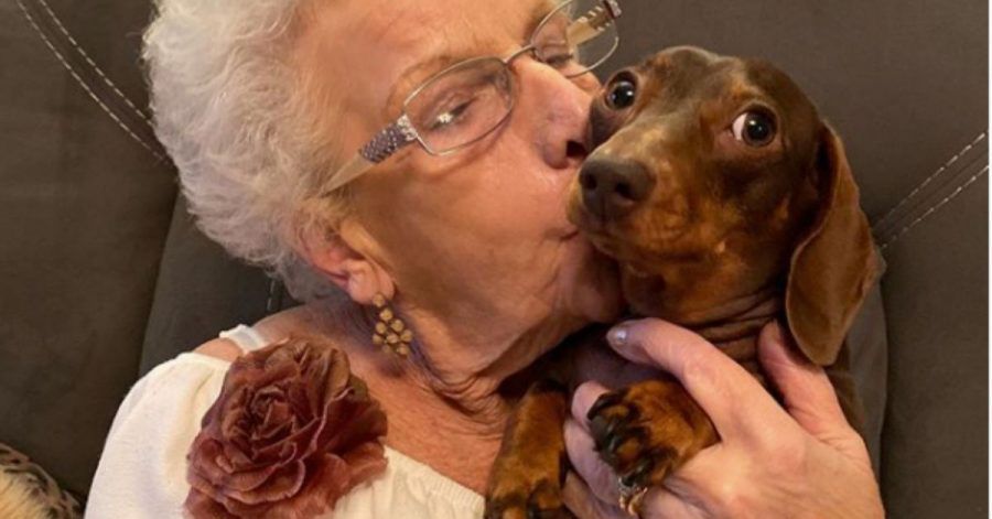 Tierisch beste Freunde: Zwerdackel Sally und Oma Nan (84)