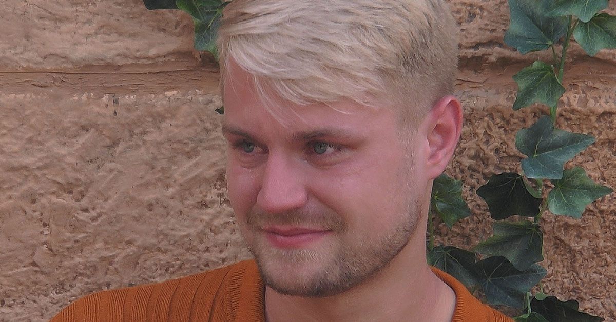 Promi BB Tag 14: Wer der größte Fake und wer der Authentischste?
