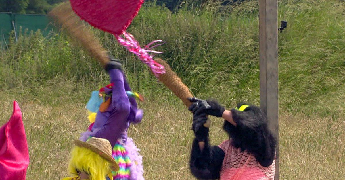 Nach "Sommerhaus"-Knockout: Tim Sandt leidet noch unter den Folgen
