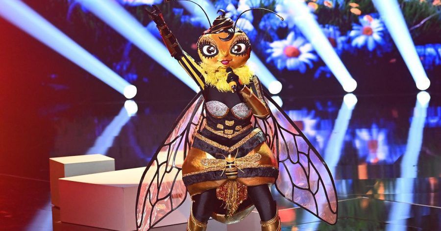 The Masked Singer: Die Biene - Das Video!
