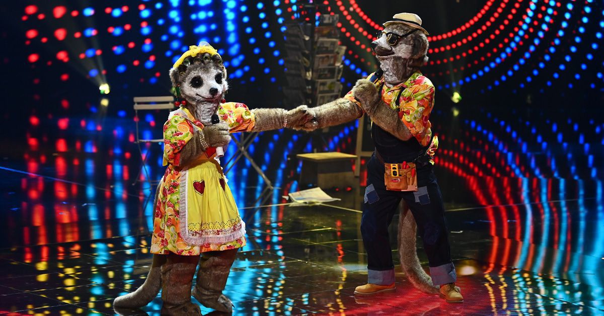 Überraschung bei "Masked Singer": Diesmal tritt ein Duo an!