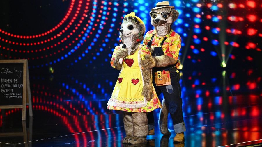 The Masked Singer: Die Erdmännchen - Das Video!