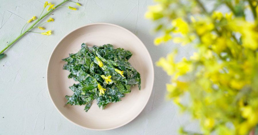Krautsalat aus Kohlrabi-Blättern, die sonst in der Tonne landen würden - das Rezept stammt vom Foodblog «Ye Old Kitchen».