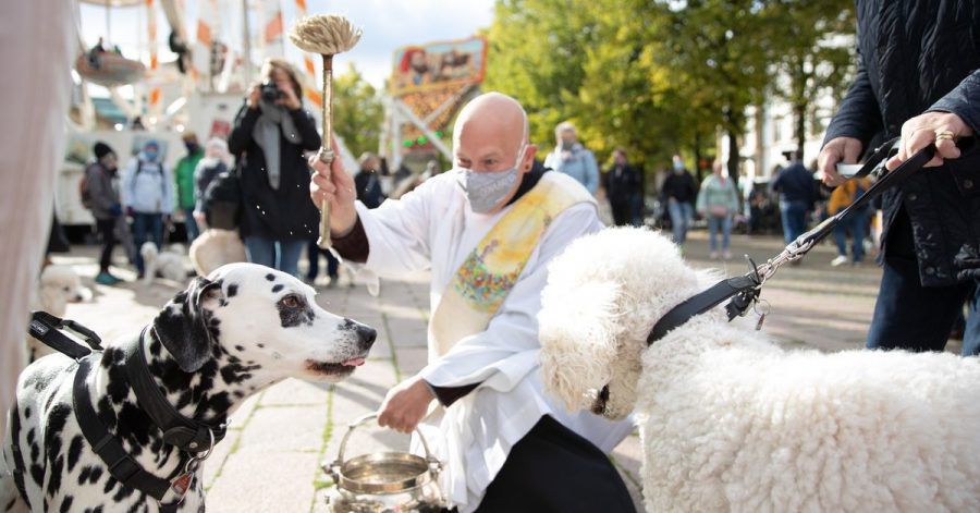 Diakon Carsten Lehmann segnet zwei Hunde mit einem Aspergill und Weihwasser.