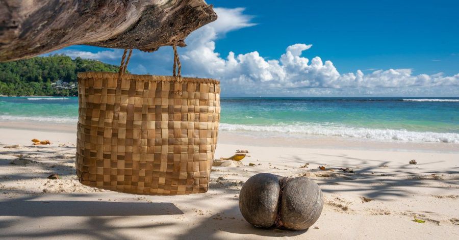 Eine Coco de Mer am Strand - die Frucht können sich Reisende sogar mit nach Hause nehmen, wenn sie sich eine Ausfuhrgenehmigung ausstellen lassen.