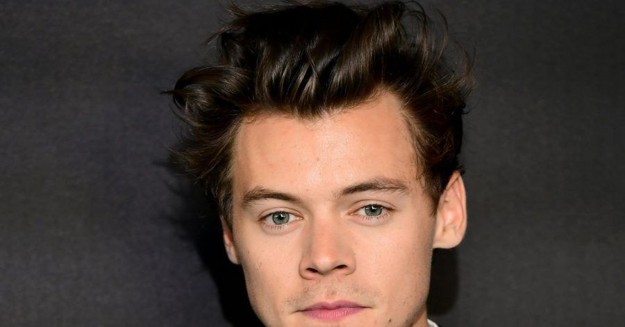 Harry Styles entpuppt sich als US-Wahlkampfhelfer.
