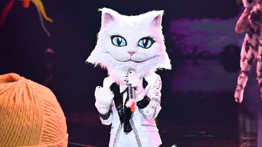 Bei "The Masked Singer" musste die Katze enthüllen, welcher Promi im Kostüm steckt (wue/spot)