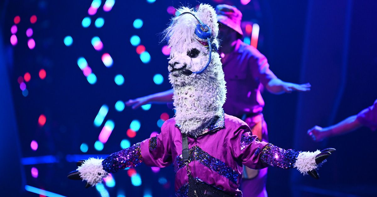 "The Masked Singer": Sylvie Meis wurde enttarnt!