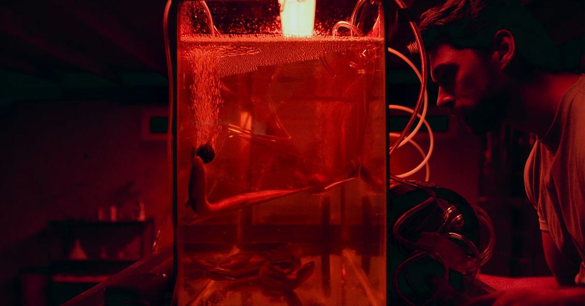 Preview "What Lies Below": Der Verlobte mit dem dunklen Geheimnis