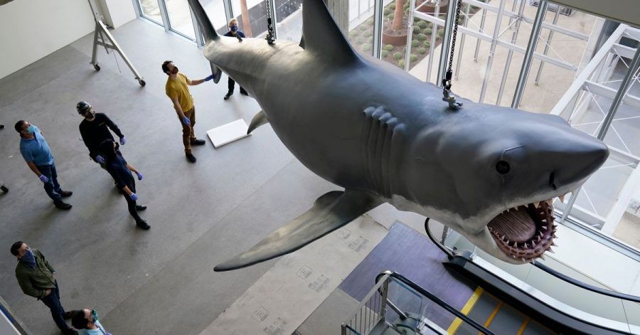 Die Eröffnung des neuen Academy Museum of Motion Pictures wird ein weiteres Mal verschoben.