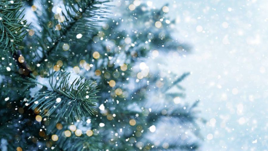 Schnee zum Weihnachtsfest sorgt für die richtige Stimmung. (jom/spot)