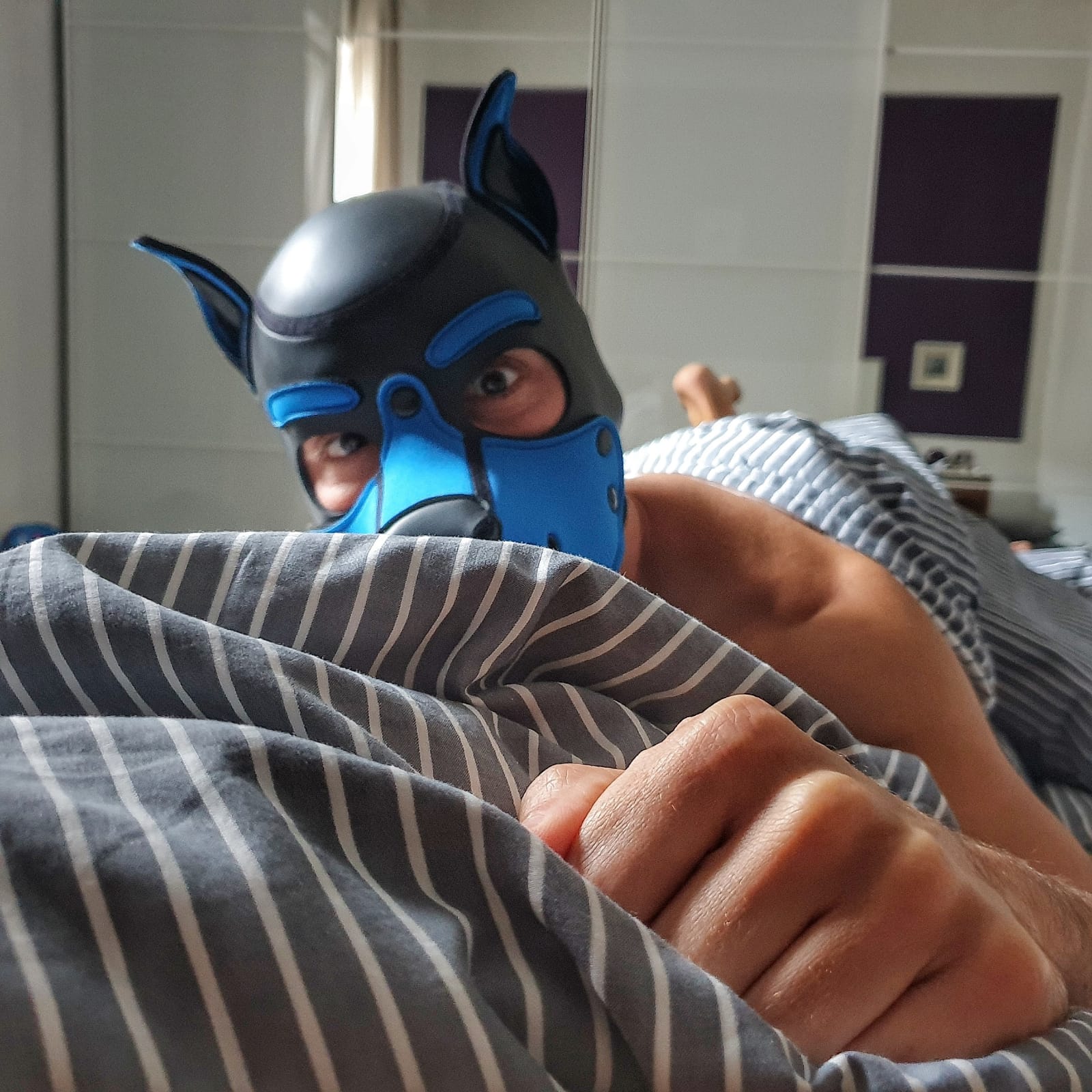 OnlyFans: Was steckt eigentlich hinter dem Phänomen?
