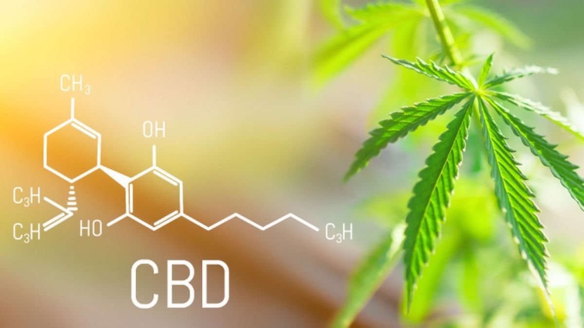 Hanf-Hype: Welches CBD Öl gegen Schmerzen?