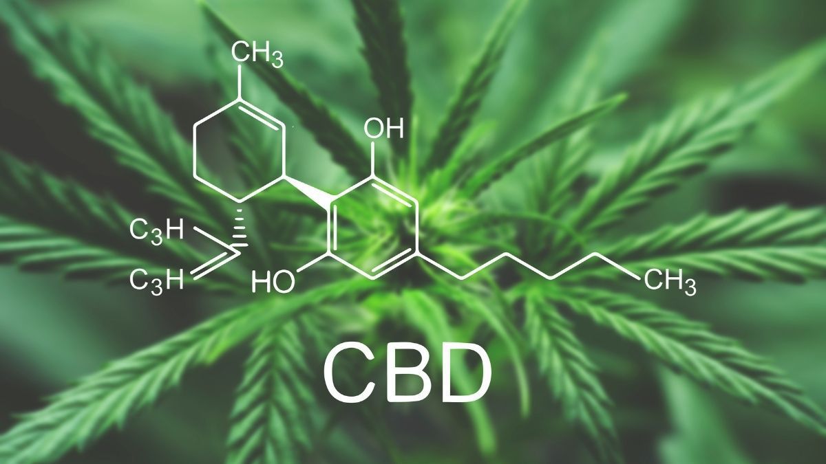 Statt Schmerzmitteln: Auch Promis schwören auf CBD-Öl
