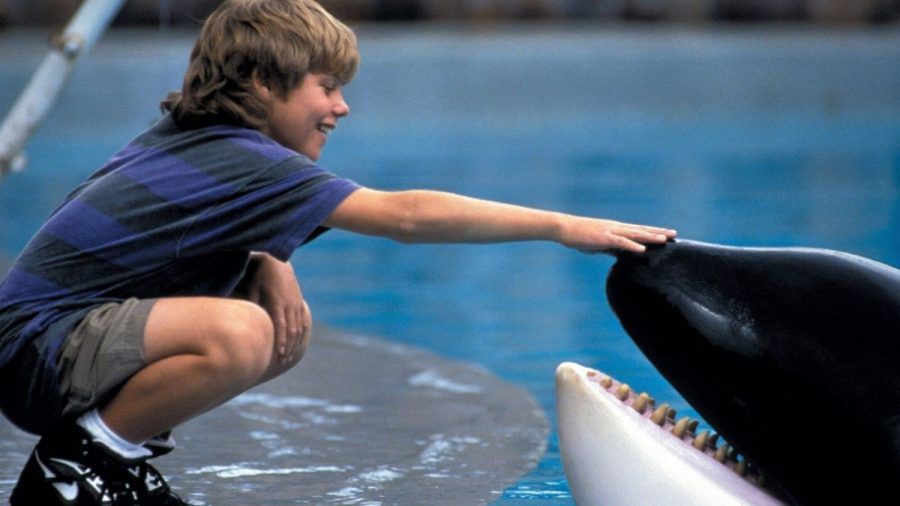 Video: So hot sieht "Free Willy"-Star Jason James Richter heute aus