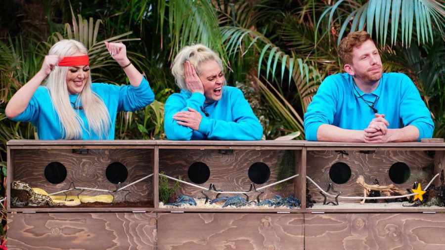 Dschungelshow: Bitte 3x Goldene Tickets für diese Bekloppten!