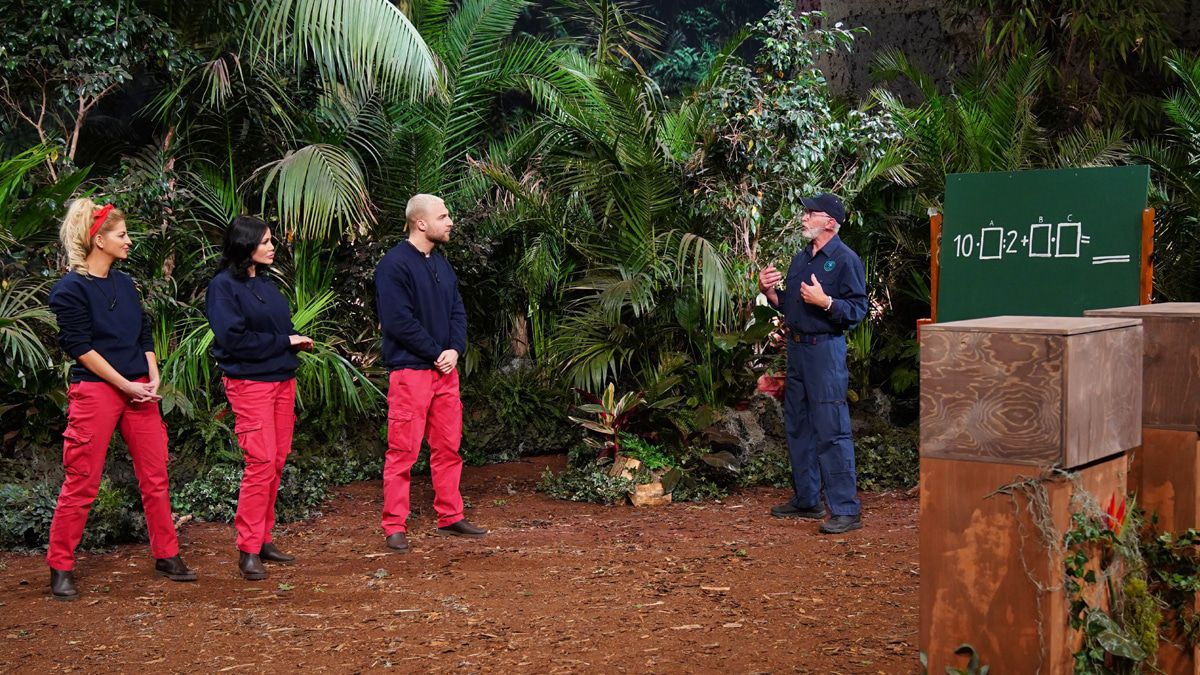 Dschungelshow: Letzter Tag für die letzte Gruppe
