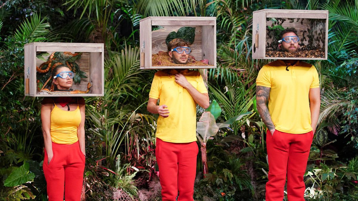 Dschungelshow: Bei Gruppe 3 dreht sich (fast) alles um Sex