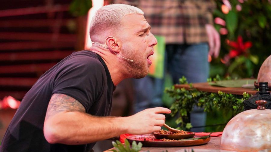 "Dschungelshow": Filip Pavlovic sichert sich Ticket nach Australien