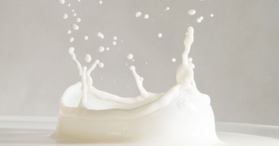 Milch liefert dem Körper Proteine, Vitamine und Mineralstoffe.