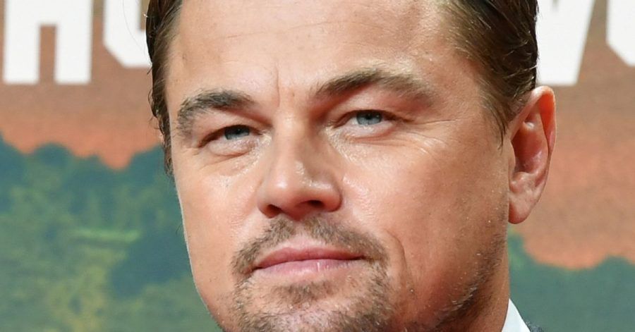 Leonardo DiCaprio: Hollywoodstar und engagierter Umweltschützer.