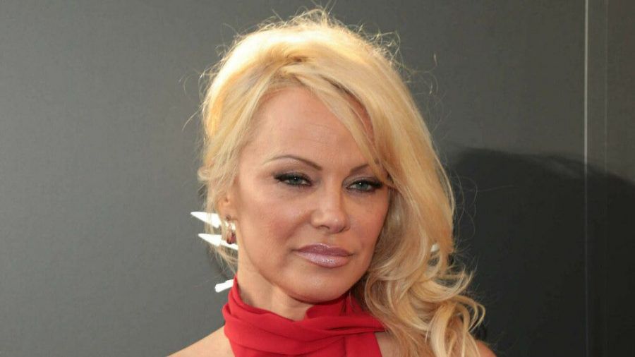 Pamela Anderson ist seit Jahren gut mit Julian Assange befreundet. (stk/spot)