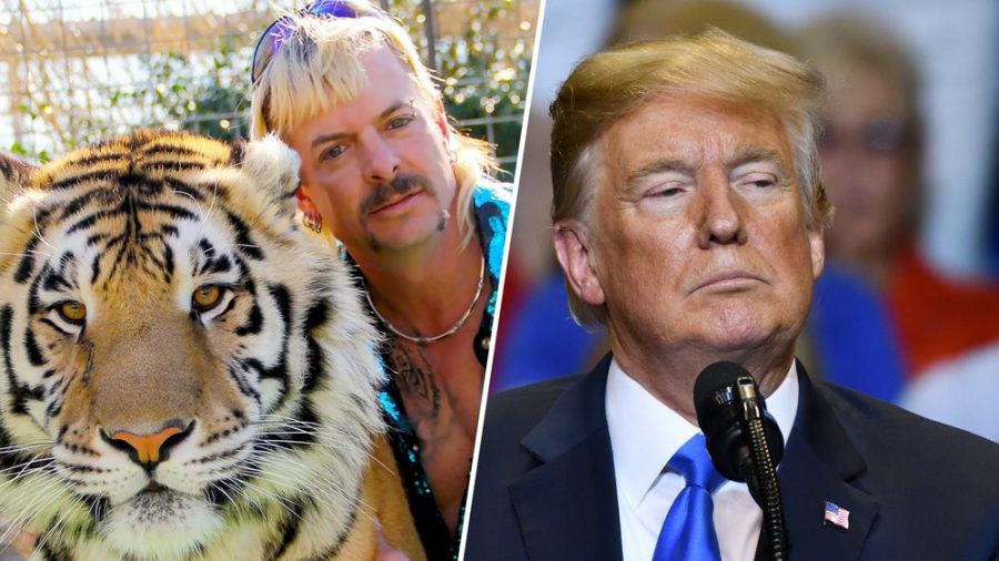 "Tiger King" Joe Exotic steht nicht auf Donald Trumps Begnadigungs-Liste. (hub/spot)