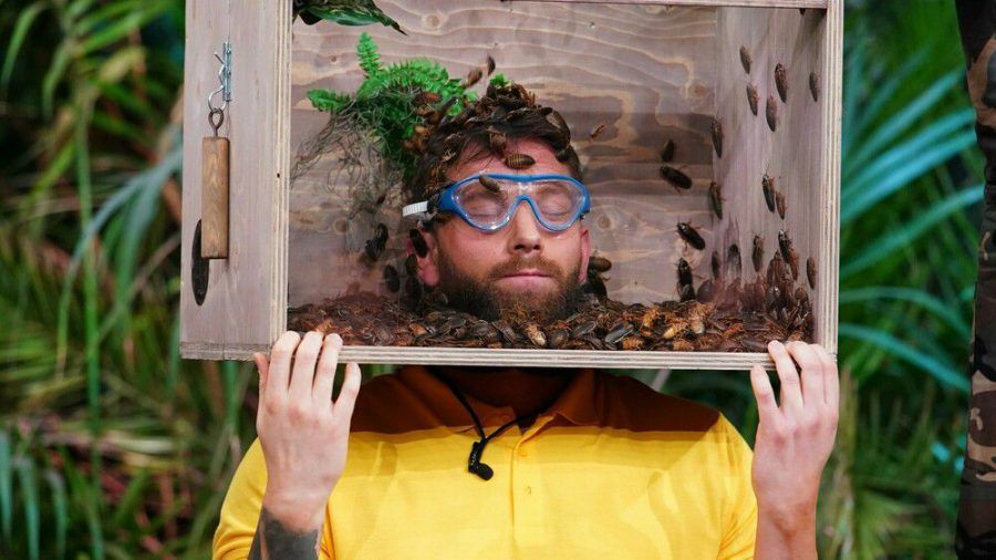 Oliver Sanne in der Dschungelprüfung-Tauglichkeitsprüfung (wue/spot)