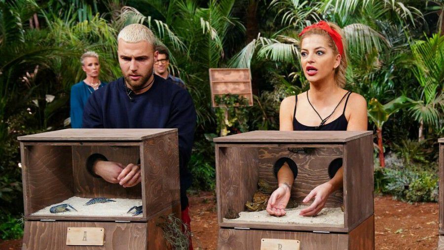 Wer kommt ins Halbfinale? Sind Filip Pavlovic und Prinzessin Xenia noch dabei? (wue/spot)