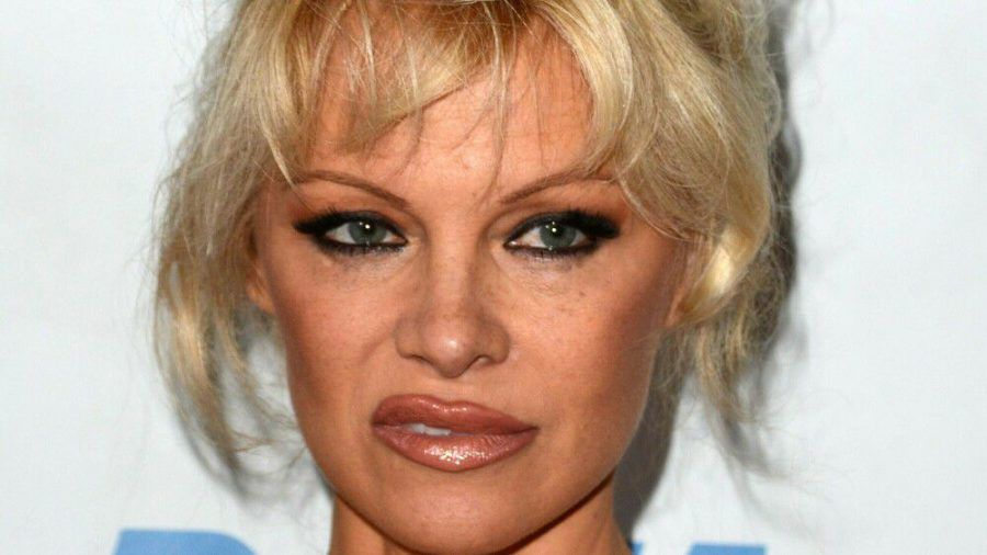 Pamela Anderson hat sich von Instagram und Co verabschiedet. (mia/spot)