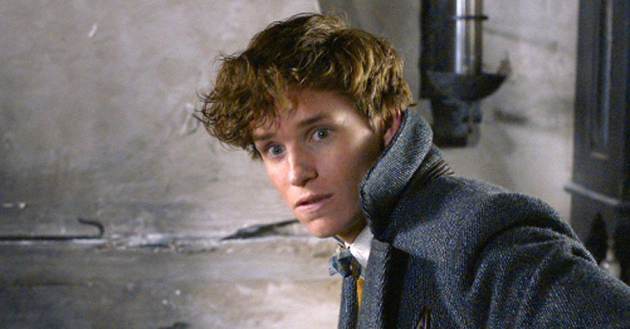 "Phantastische Tierwesen 3": Für Eddie Redmayne ging's ins eiskalte Wasser